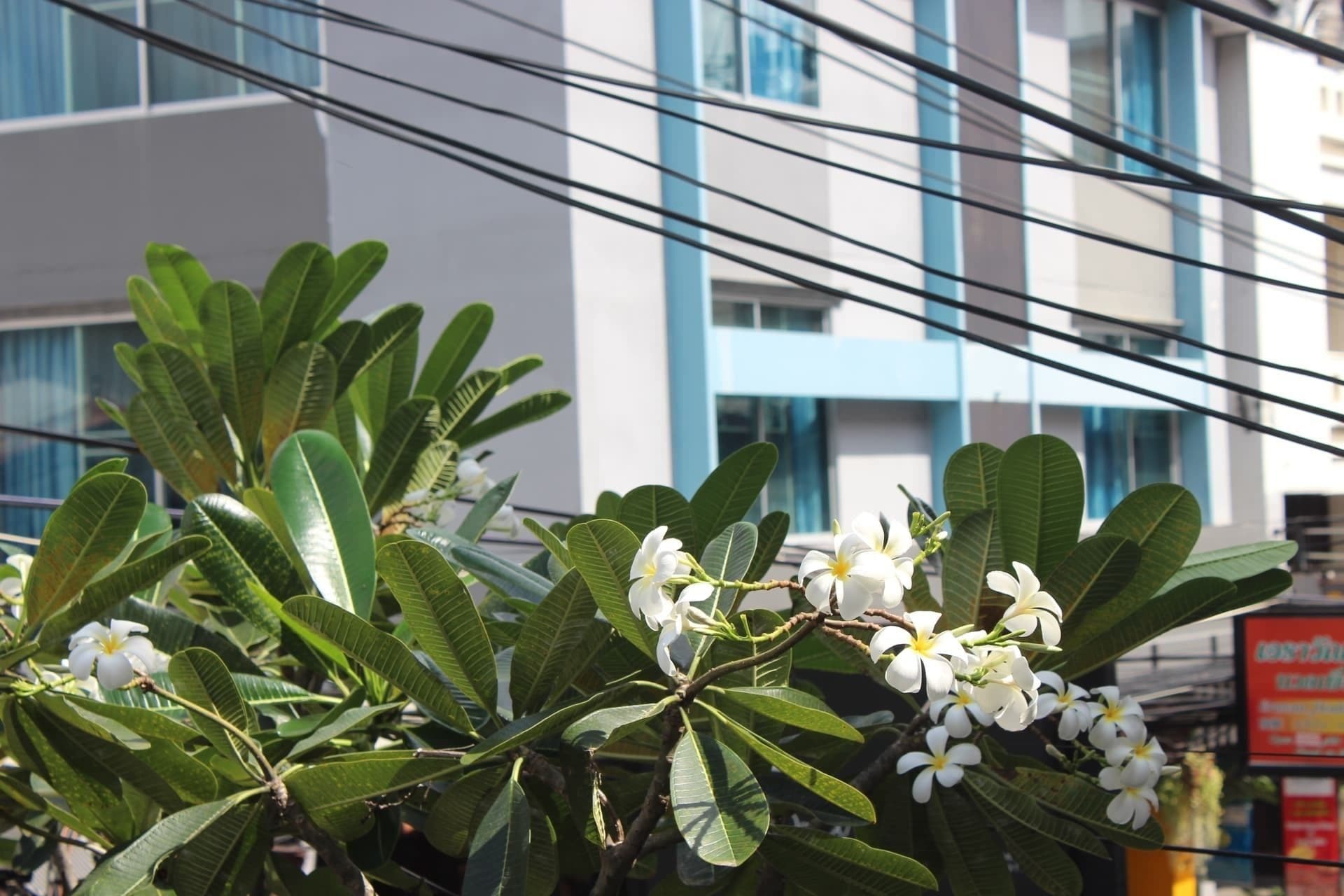 Nature Boutique Hotel @ Chiangmai Τσιάνγκ Μάι Εξωτερικό φωτογραφία